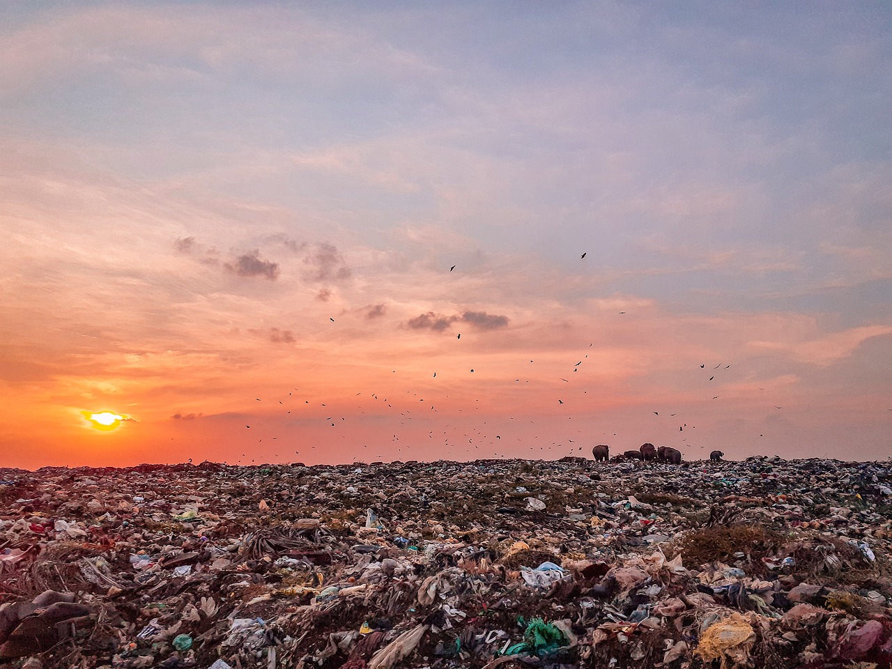 Vervuild landschap bedekt met plastic afval – de Plastic Soup Foundation strijdt voor schonere oceanen en een plasticvrije toekomst.